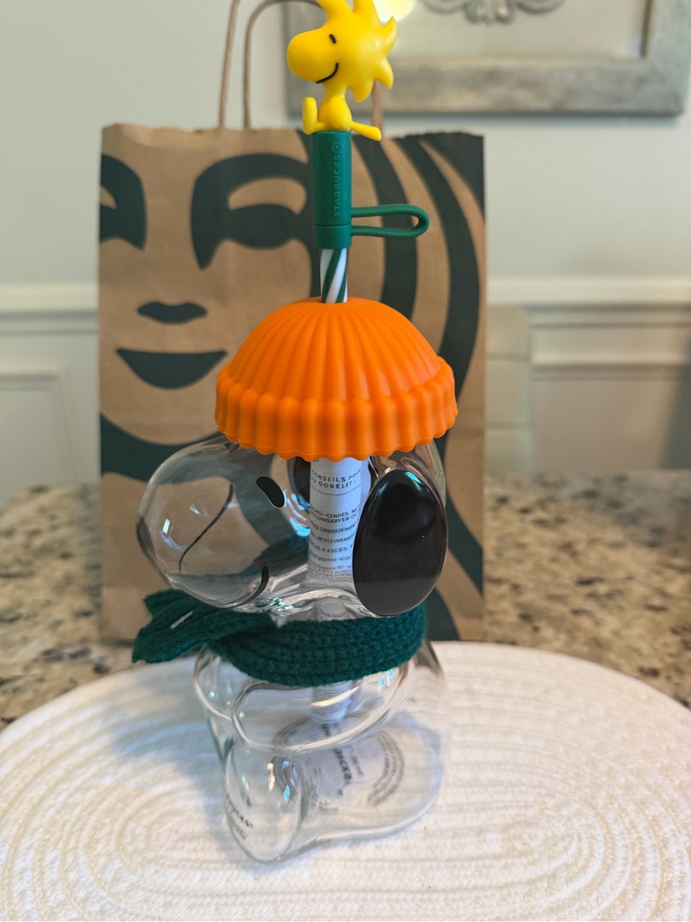 Authentic Starbucks Snoopy Orange Lid Glass Tumbler and Green Scarf - Picture 3 of 7